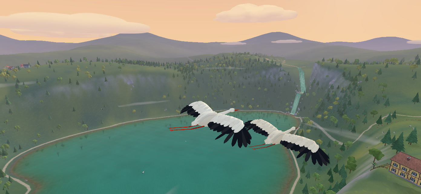 Two storks flying together above the Vosges landscape