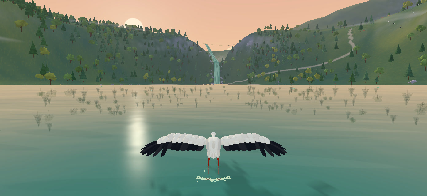 The stork skims the lake at sunset